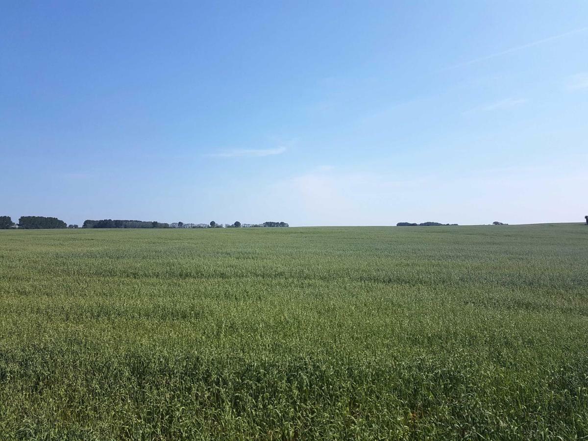 Doppelhaushaelfte Nordwind Vom Naturhof Usedom Bannemin Buitenkant foto